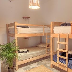 Bed 6-Bed Female Dormitory Room